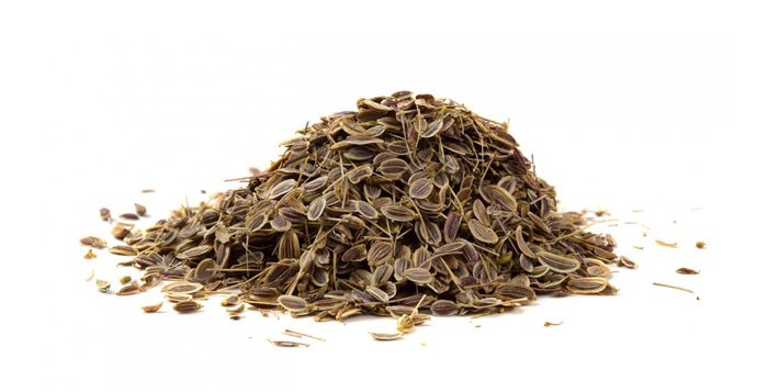 சதகுப்பை மருத்துவ பயன்கள் சதகுப்பை