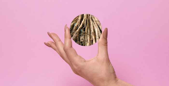 herbal-medicine-for-aanmai-kuraivu-problem ஆண்மை குறைவை நீக்க இந்த ஒரு மூலிகை போதும்