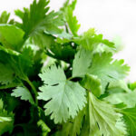 கொத்தமல்லி சூரணம்